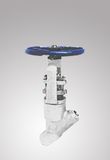 Pressure Seal Y-Pattern Globe Valve