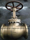 Sdnr Globe Valve (screw down non return)