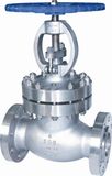 Globe Valve