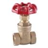 Brass Gate Valve (ITB301)