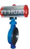 Butterfly Valve