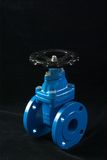 Gate Valve (P2636) 