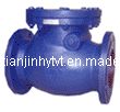 Swing Check Valve (ANSI125)