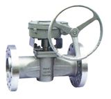 Plug Valve (BY--001)