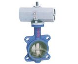 Butterfly Valve