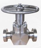 Forged Steel Globe Valve