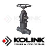 Pressure Seal Valve (Forged)