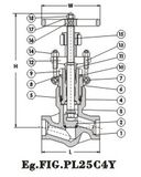 Forged Steel Globe Valve (J15CSY)