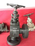 Carbon Steel Angle Globe Valve