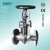 Forged Steel Bellows Seal Globe Valve