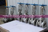 ANSI API Saintless Steel Wcb Gate Valve with Signal