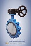 Ci Body Lug Type Worm Gear Butterfly Valve