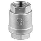 Accessories - 304 Check Valve