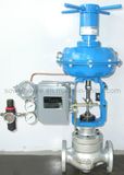 Cage Single-Seated Control Valve