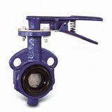 Split Type Butterfly Valve