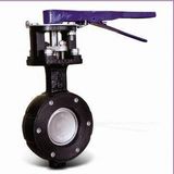 Double-Offset Butterfly Valve U. S. Standard