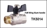 1/2 Inch Brass All Valve with High Pressure