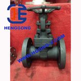 API A105 RF Ends 600lb Flange Forged Gate Valve