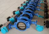 High Performance Butterfly Valves