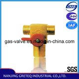 Qf-T1d CNG Vehicle Cylinder Valve for Gas Cylinder in China