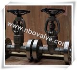 Regular Bore Forged Steel Globe Valve (J41H-2-1/2