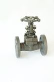 Forged Flange Gate Valve