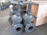 High Pressure Gate Valve (Z41H-160C)