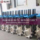 Stainless Steel ANSI Knife Gate Valve