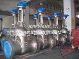 DIN Standard Stainless Steel Gate Valve