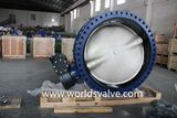 Dn1400 Flanged Valve (D41X-10/16)