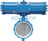 Lug Type Pneumatic Butterfly Valve (concentric butterfly valve)