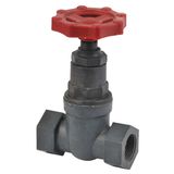 Threaded Globe Valve