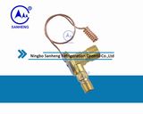 Auto A/C Expansion Valve/Expansion Valve (SH601-1)