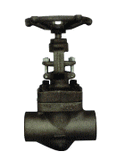 Forged Globe Valve