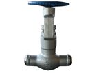 High Pressure Globe Valve