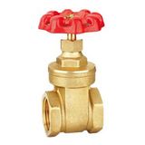 Brass Gate Valve (SSF50020)