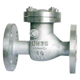 Stainless Steel Check Valve