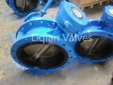 Cast Iron Butterfly Valve (DN50-DN100)