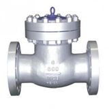 Cast Steel Check Valve