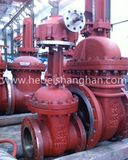 API Class300 Gate Valve