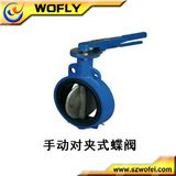 Dn 50 Cast Iron Wafer PTFE Lined Butterfly Valve