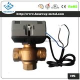 2 Way or 3 Way Water Control Vertical Valve (FLDF)