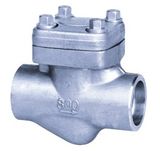 Swing Check Valve