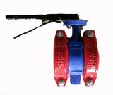 Shouldered Butterfly Valves Clamps