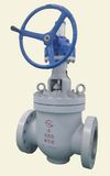 Professional Manufacturer China Power Plant Use Gate Valve