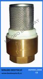 Brass Foot Valve with S/S Filter (BW-C09)