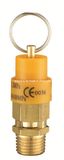 CE Certified Rubber Safety Valve (CAXD2. III)