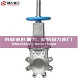 Stainless Steel Lug Type Knife Gate Valve