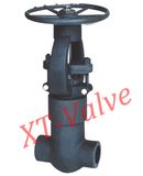 Good Quality Small Size Forged Steel Gate Valve (XT-Z61)