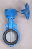 Eccentric Butterfly Valves (CF8M)